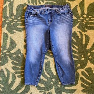 Torrid high rise curvy skinny Jean size 20